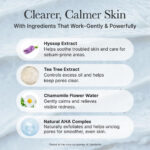 شوینده هایسوپ و کیک برنج آرنسیا Hyssop sebum control rice cake cleanser (Arencia) - تصویر 4