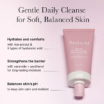 شوینده رزهیپ متعادل کننده ph پوست برنجی آرنسیا Rosehip mild pH balancing rice cake cleanser 150g (Arencia) - تصویر 4